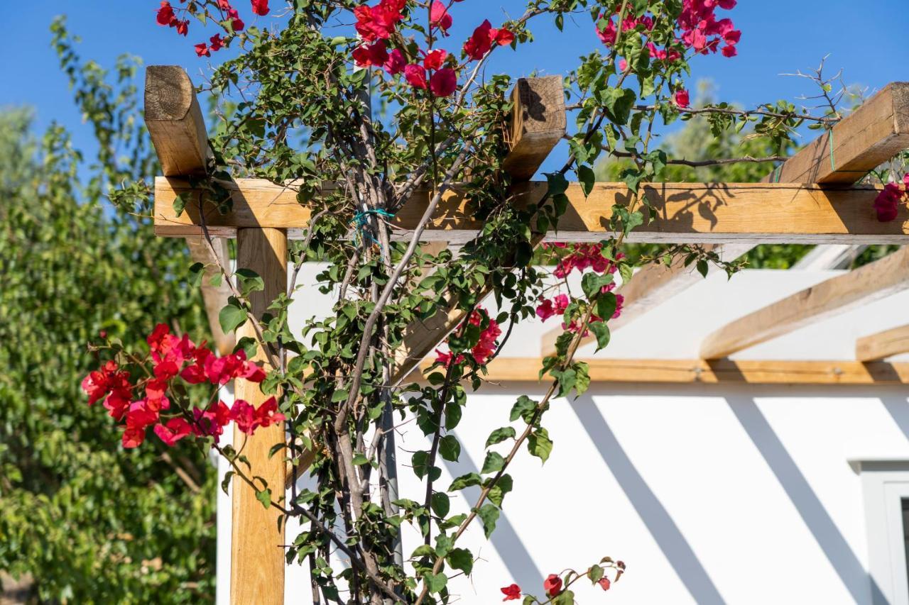 Anassa Cycladic Village Galissas Eksteriør bilde