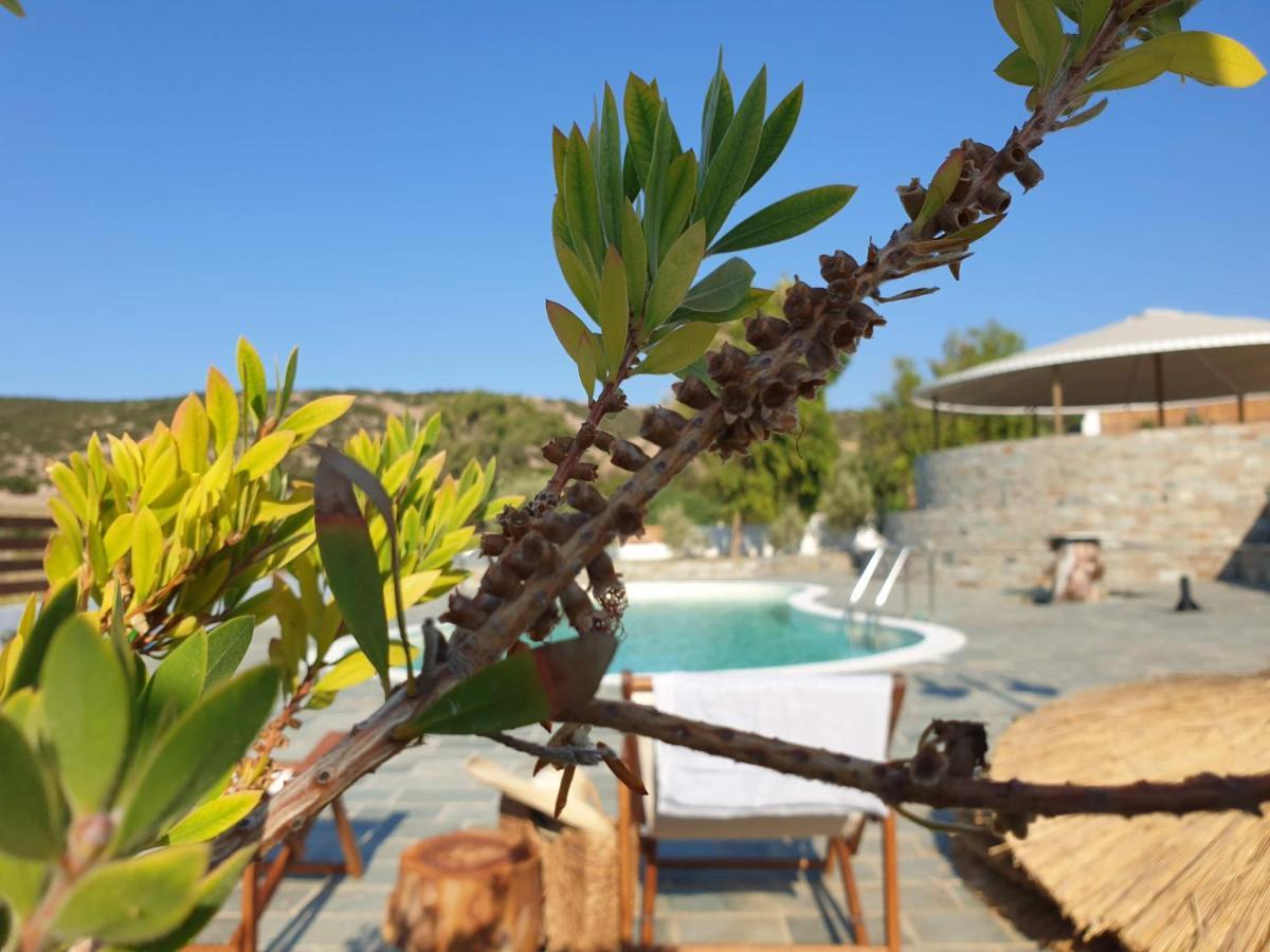 Anassa Cycladic Village Galissas Eksteriør bilde