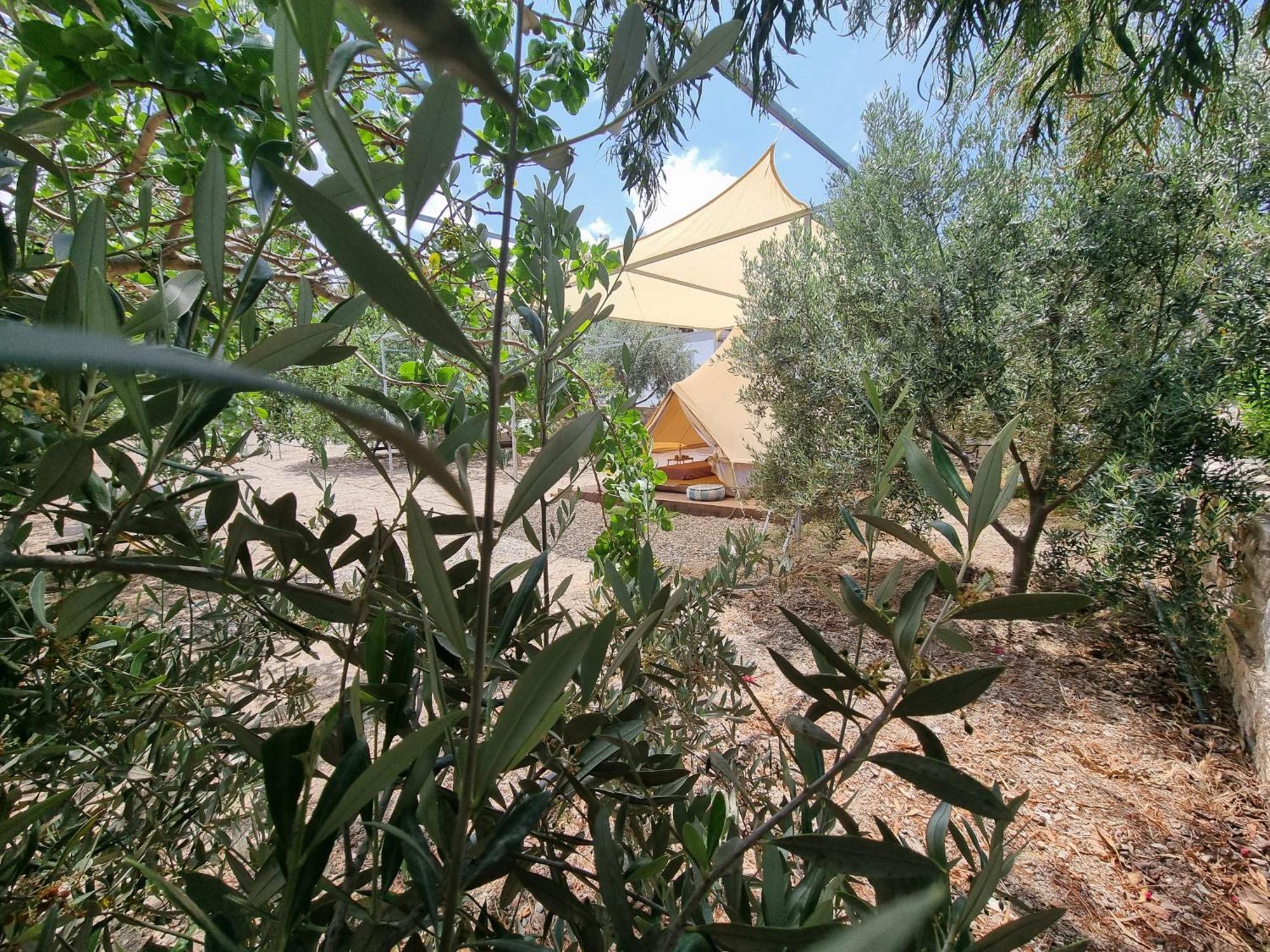 Anassa Cycladic Village Galissas Rom bilde